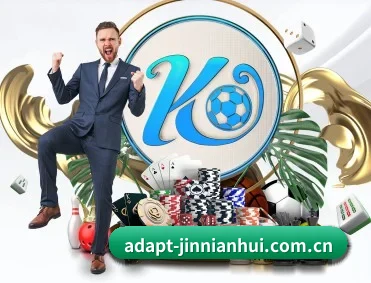 adapt-jinnianhui.com.cn APP 深度功能